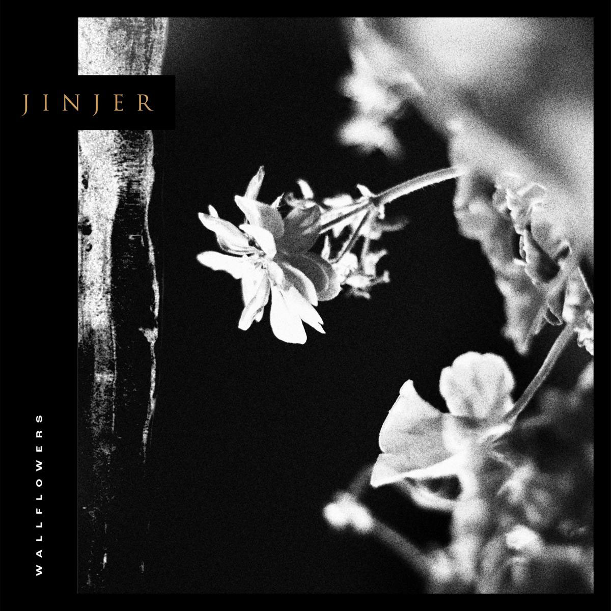 Jinjer — Wallflowers