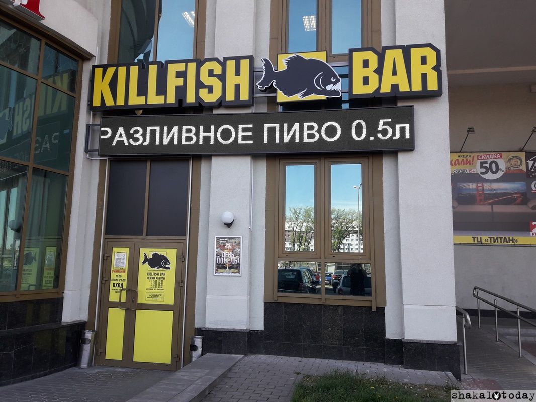 Гадя и Задя за 50 рублей в Killfish