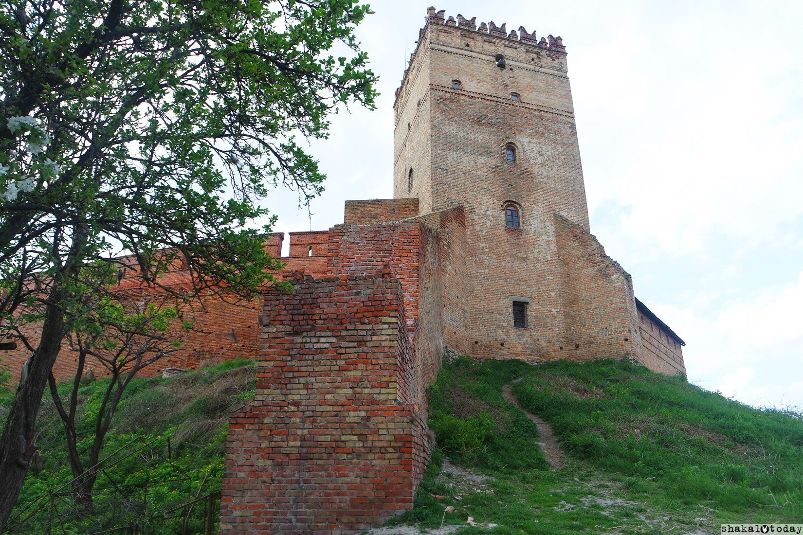 lutsk-castle-shakal-today-0020.jpg