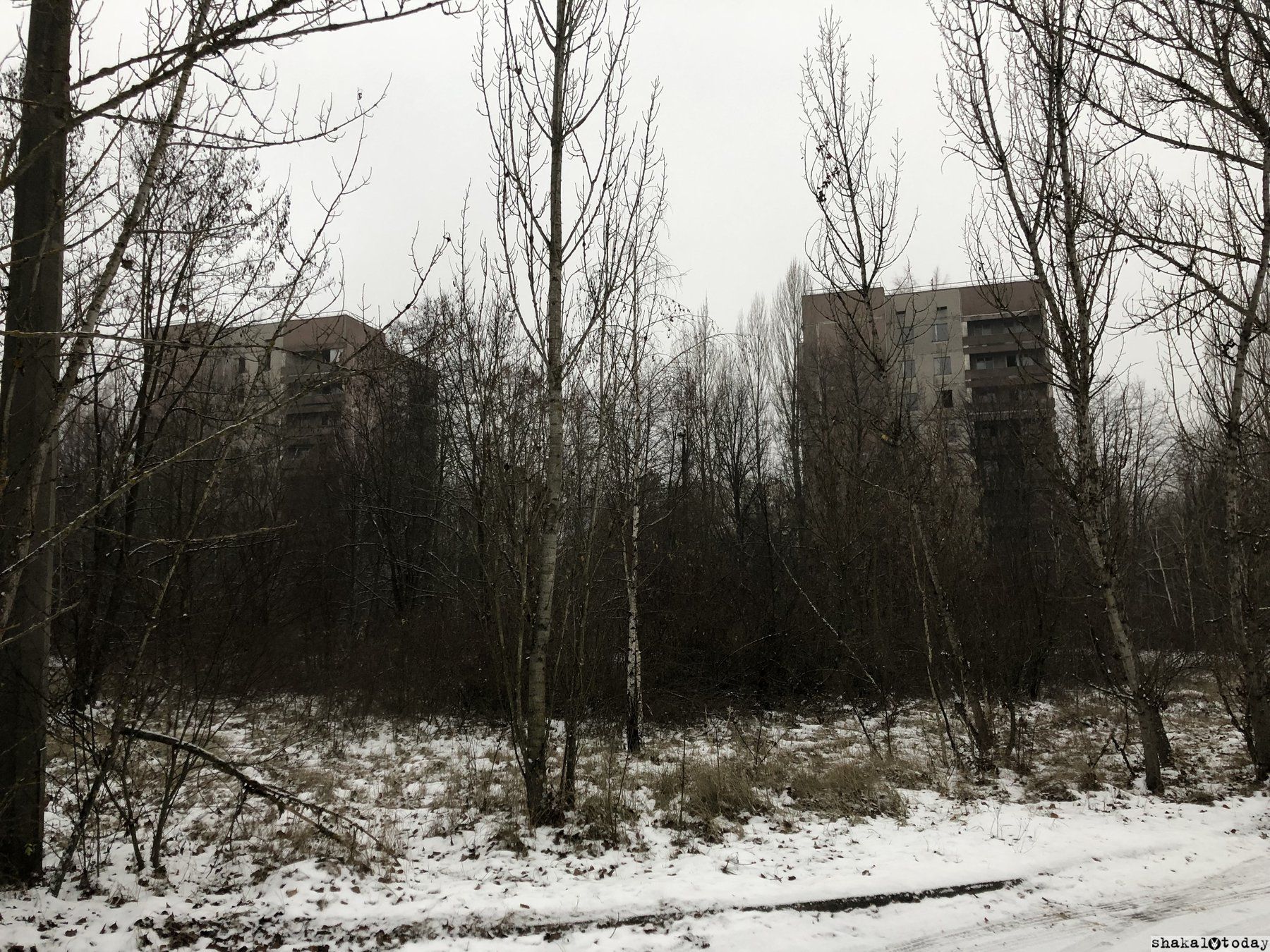 Shakal-Today-Pripyat-0009.JPG