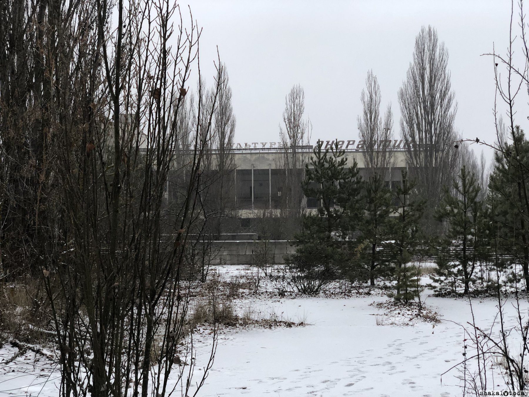 Shakal-Today-Pripyat-0010.jpg