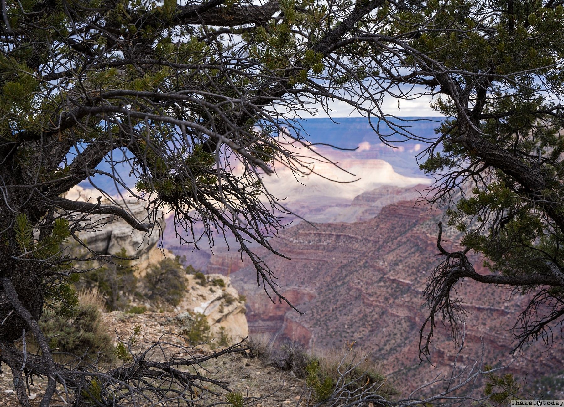 Grand-Canyon-Shakal-Today-0040.jpg