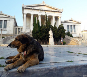Греки, гречанки, гречка: Афины в картинках и буквах