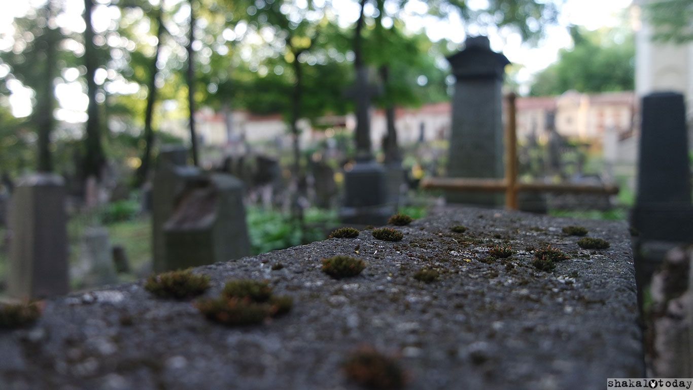 Бернардинское кладбище. Онлайн с 1810 года