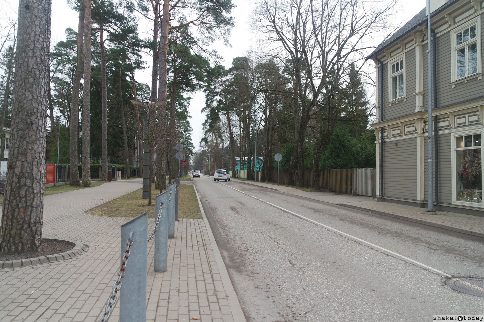 jurmala-shakal-today-0025.jpg