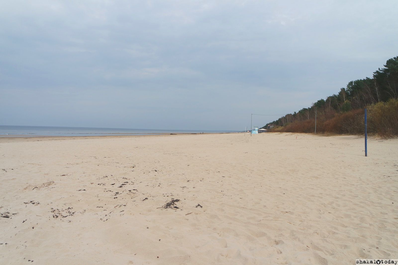 jurmala-shakal-today-0035.jpg