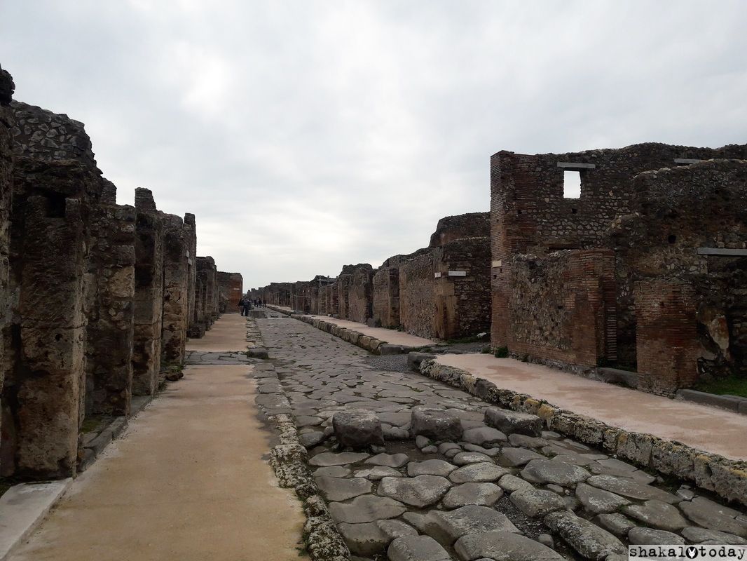 Pompeii-Shakal-Today-0001.jpg