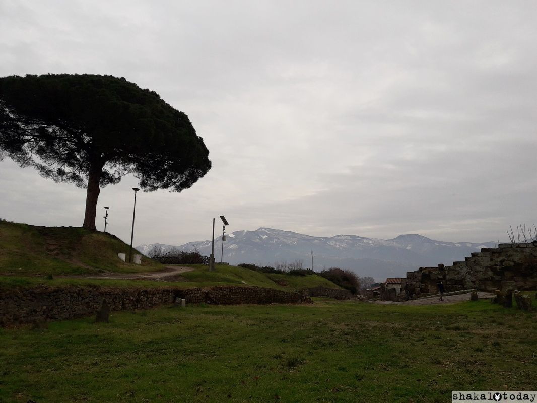 Pompeii-Shakal-Today-0004.jpg