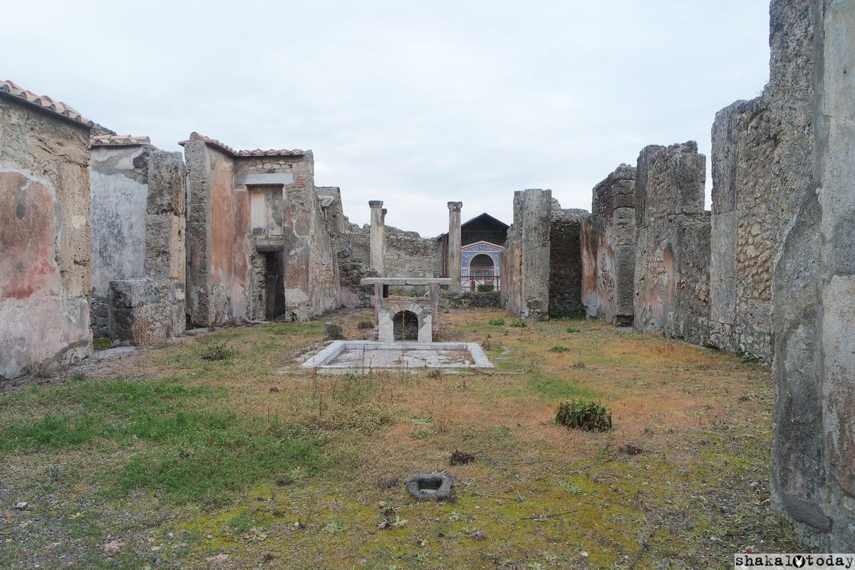 Pompeii-Shakal-Today-0048.JPG