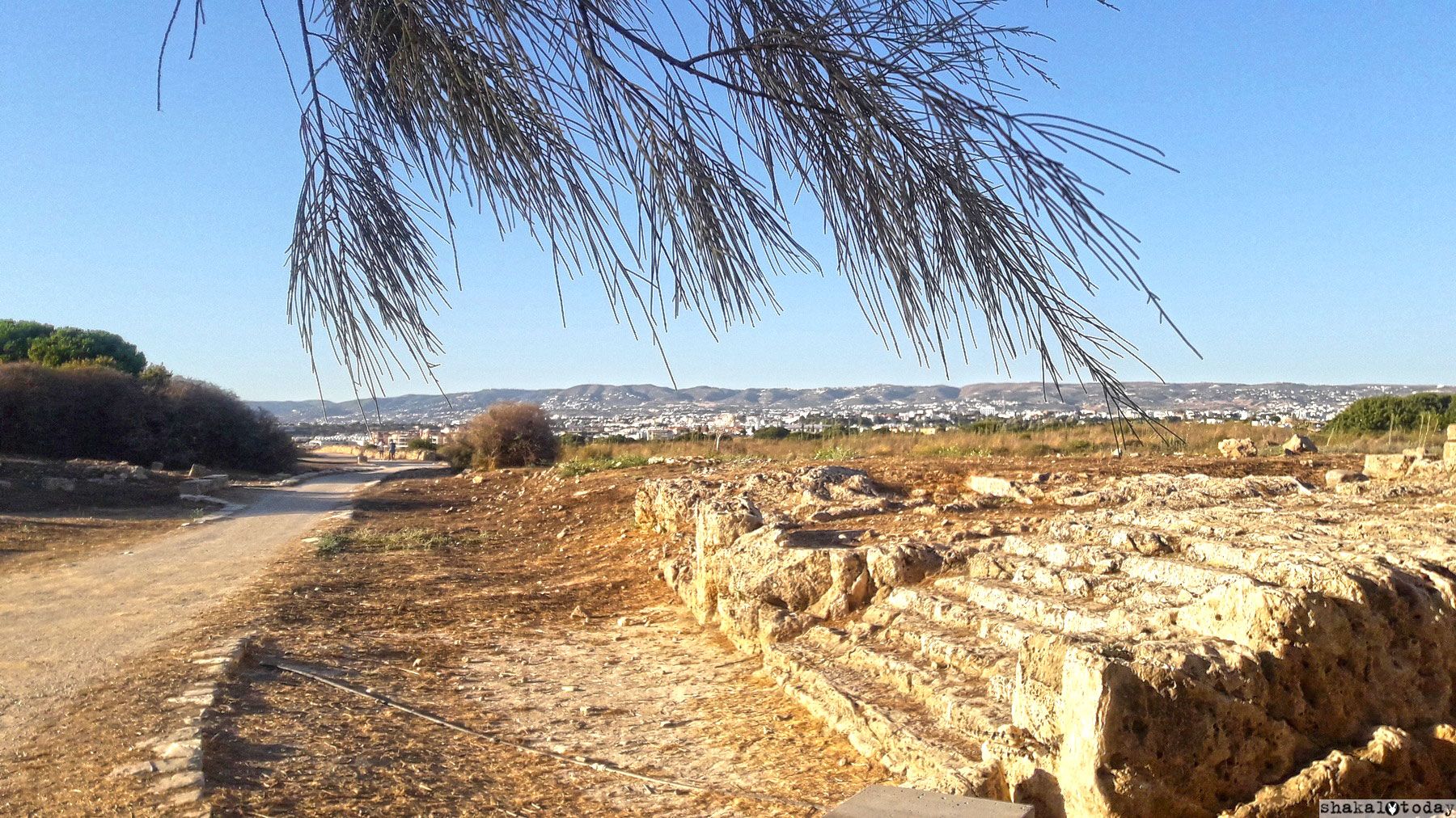 Cyprus-Shakal-Today-0226.jpg