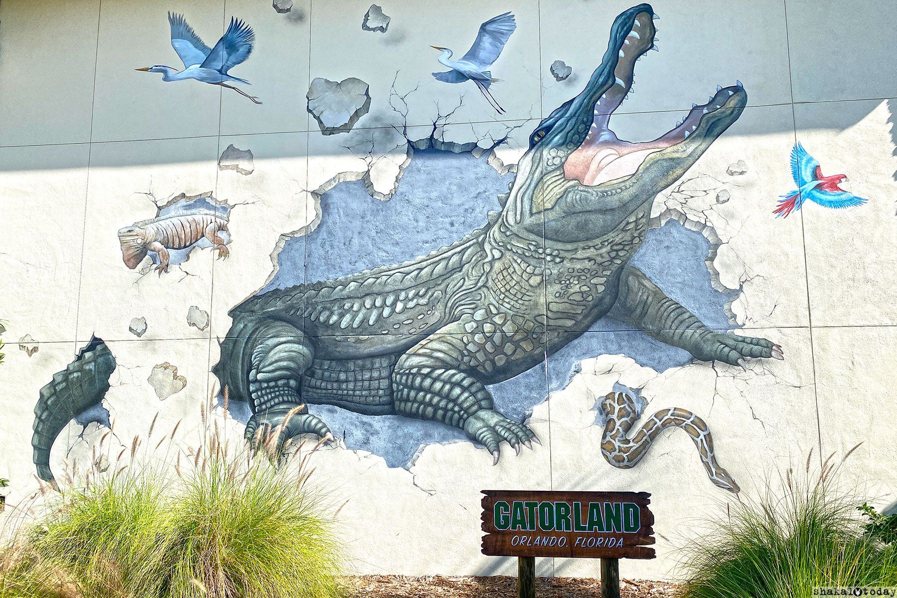 Мимокрокодилы! Экскурсия в Gatorland — столицу аллигаторов