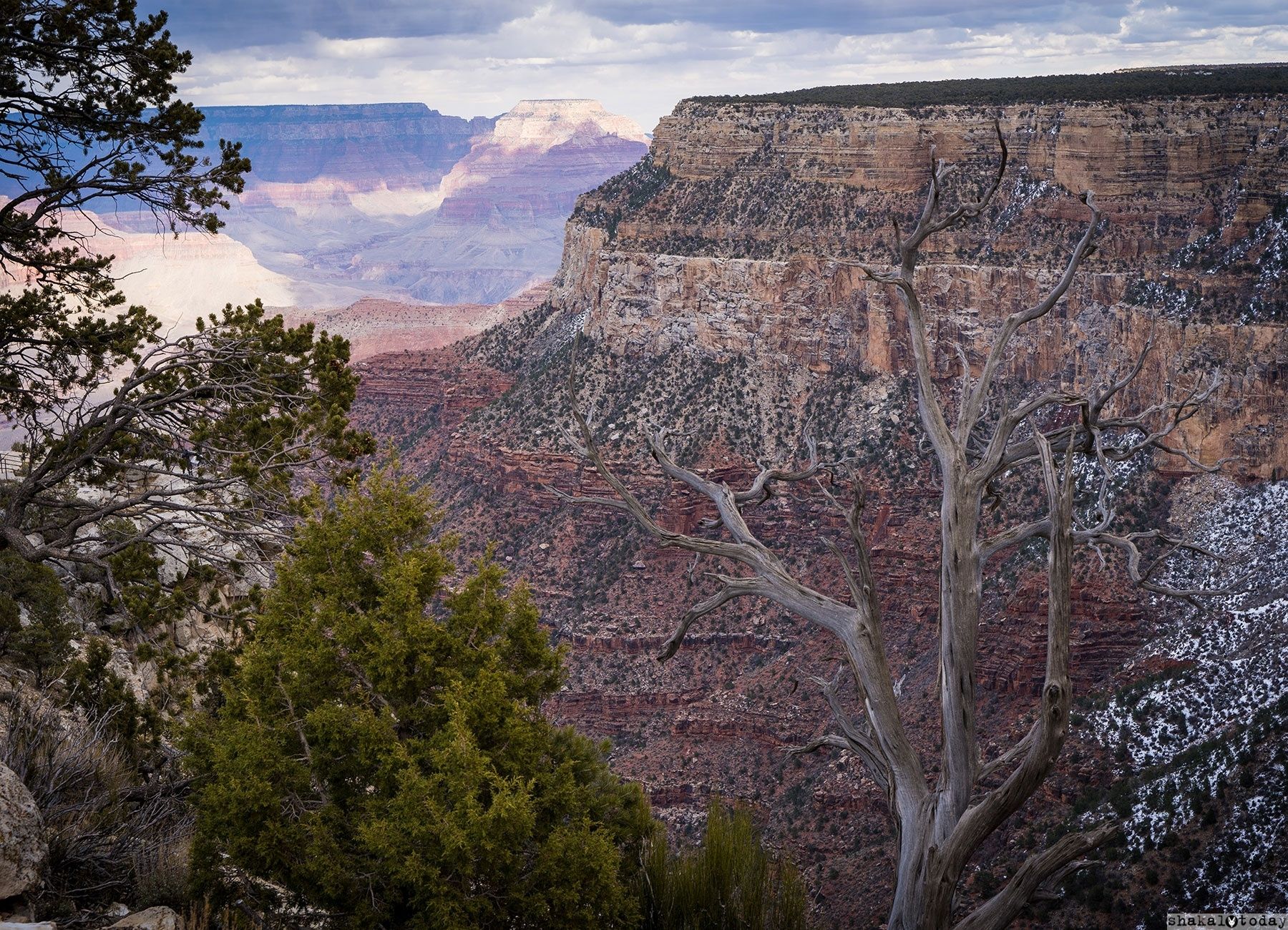 Grand-Canyon-Shakal-Today-0046.jpg