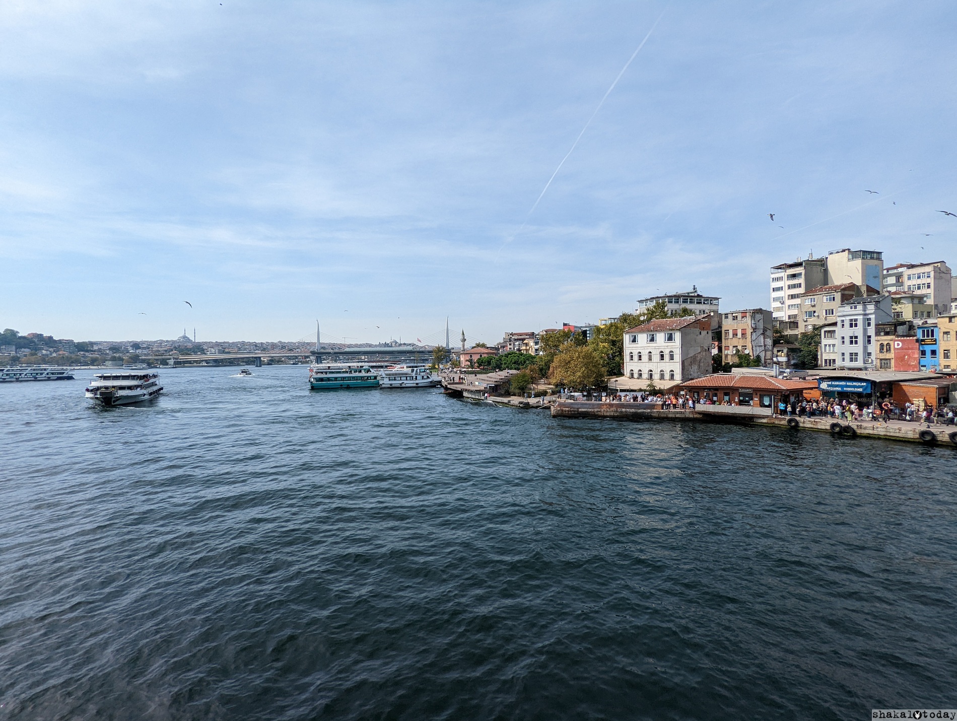 Istanbul-Shakal-Today-0058.jpg